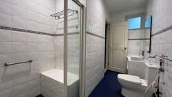 Serangoon Garden Estate (D19), Semi-Detached #552862441